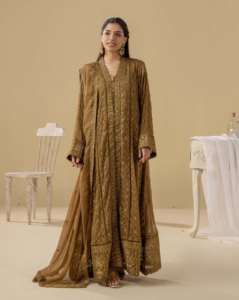 Adan's Libas | Chiffon Gown vol-5 Stitched "Brown" Formal Festive Wear | D2-3pc